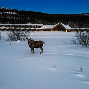 Arctic Wilderness Lodge
