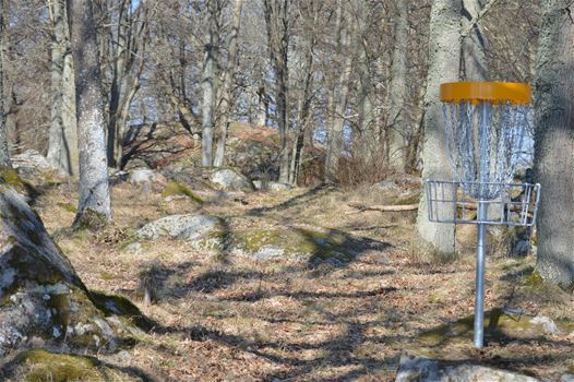 Carlskrona Discgolfklubb