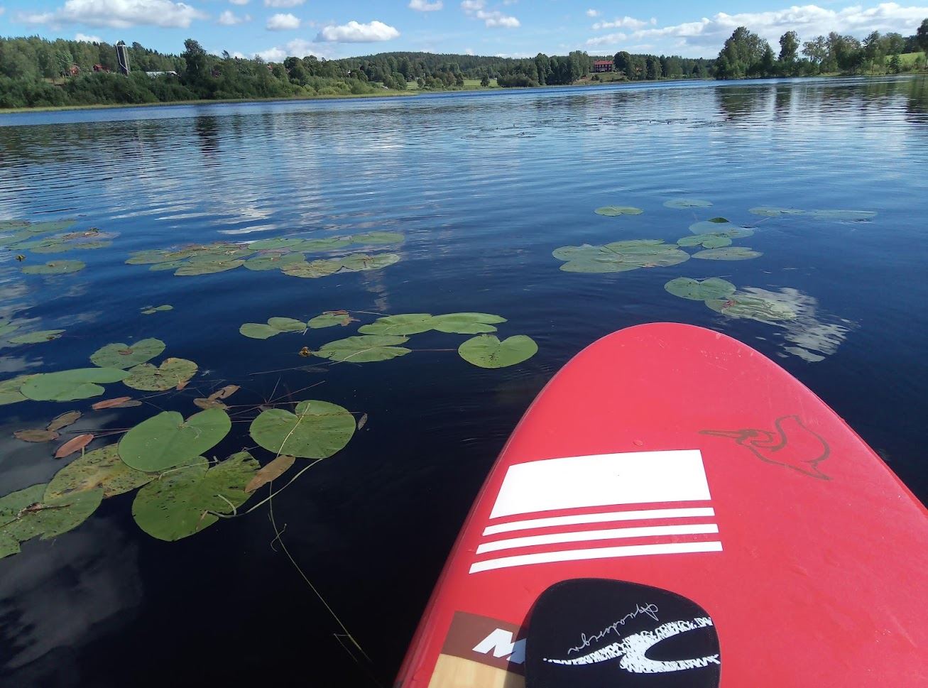 Paddla SUP och gör kolbulle i Hälsinglands härliga vatten och natur.