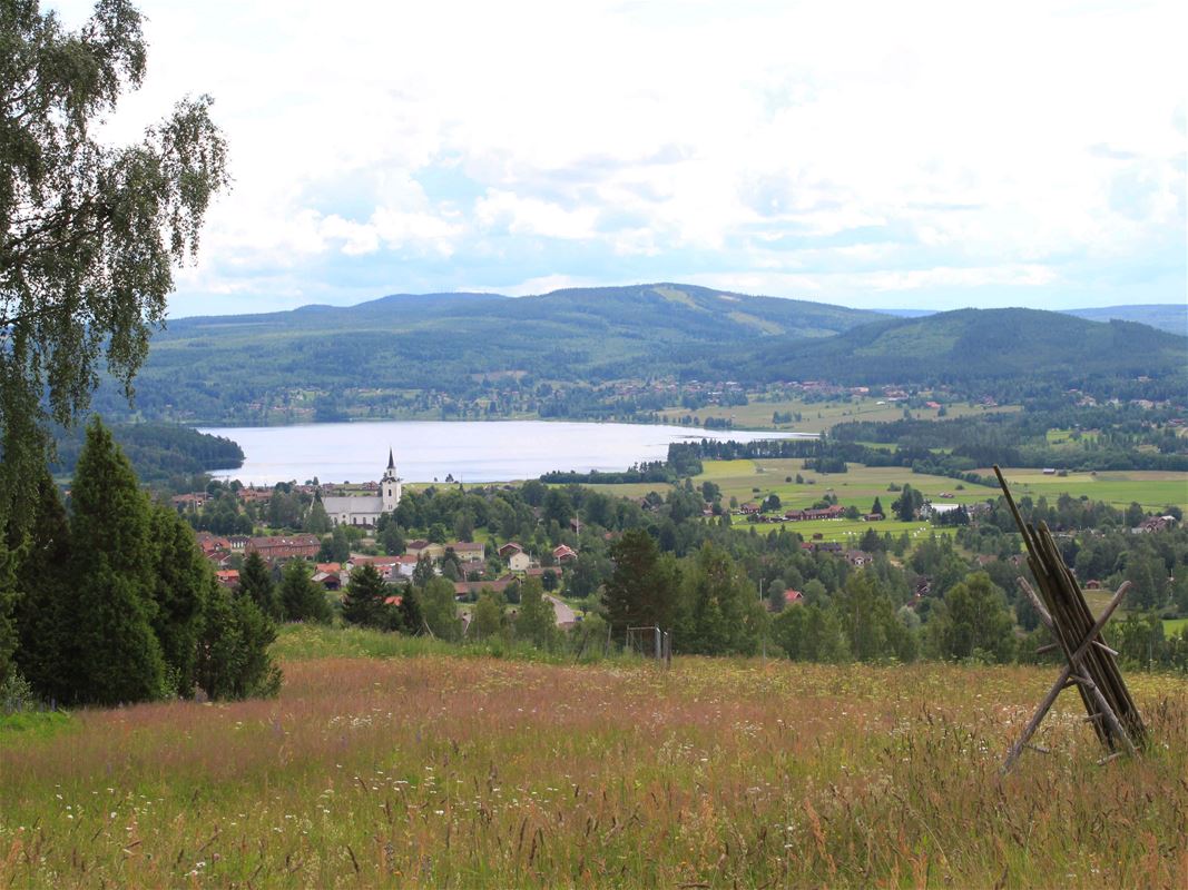 Utsikt med blomsteräng och kyrka över Siljansnäs.