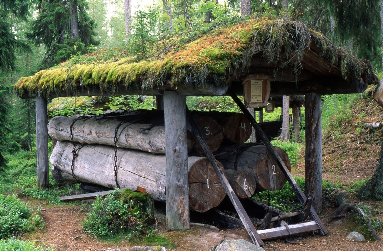 Thick logs lying under a roof covered with moss and greenery.