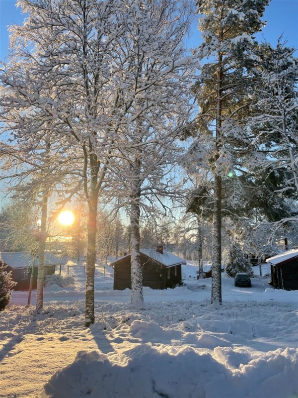 Sunset among the birches and cabins on a winter day. 