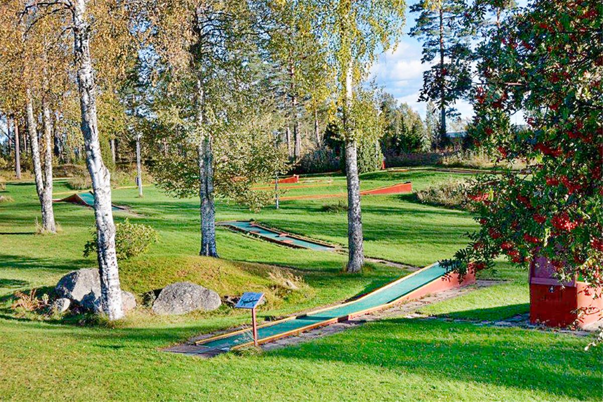 Minigolfbana bland björkar.