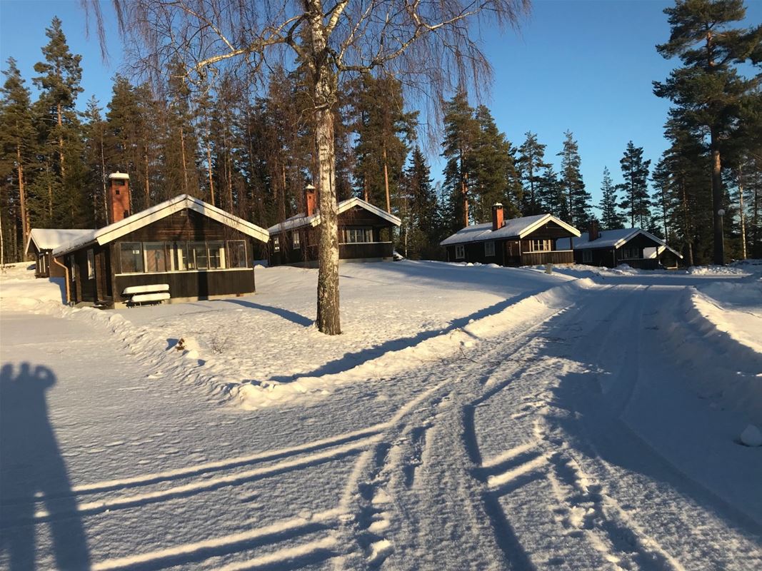 Solen lyser på uppfarten och stugorna en vinterdag.