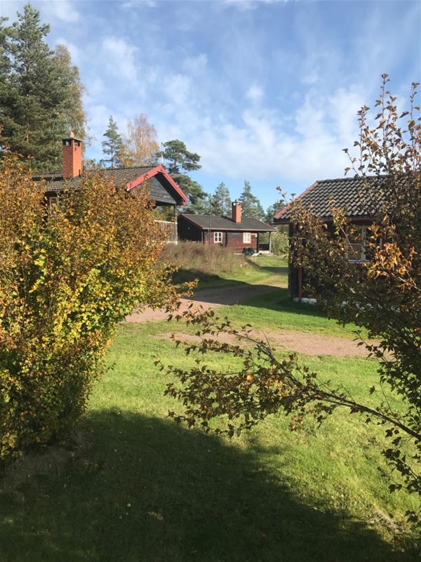 Autumn leaves with the cabins behind. 