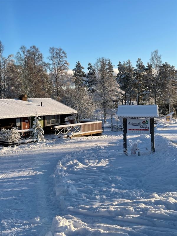 Cabin with snow on the roof and lawn. 