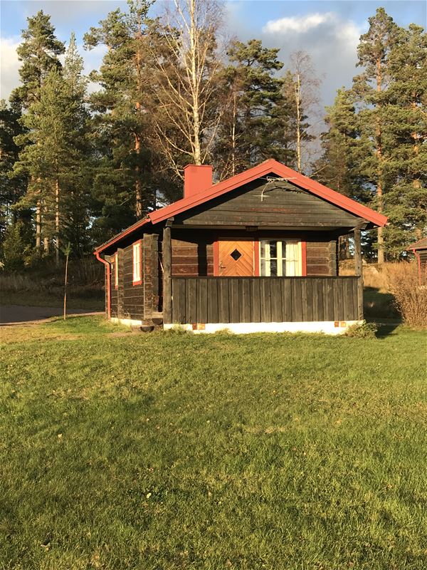 The sun is shining on the  terrace of a cottage. 