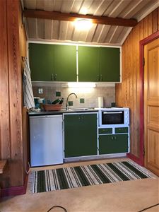 Pentry with green cabinet doors and green striped carpet on the floor. 