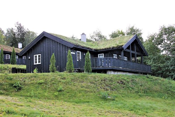 Nordlia 11 cottage 