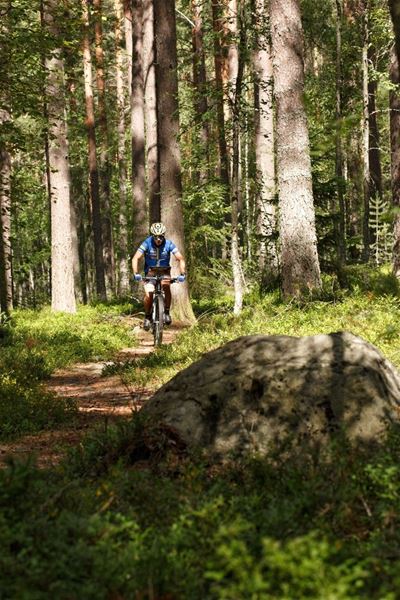 En cyklist i tävlingskläder på en skogsstig.