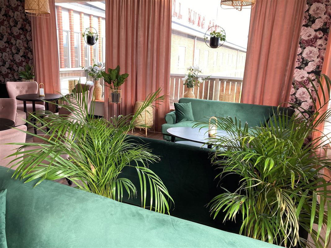 Lounge med soffor och gröna växtrer. 