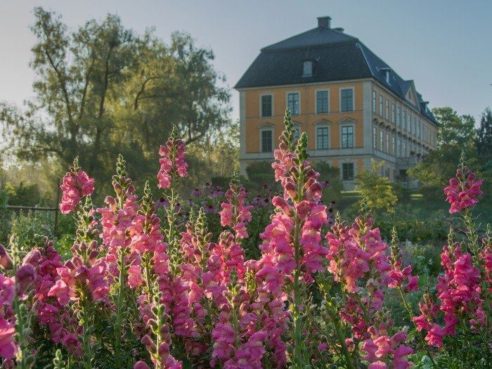 STF Bränneriet vid Nynäs slott