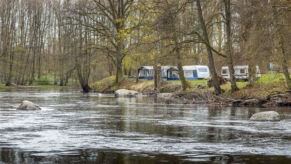 Campsite next to the Mörrum river 