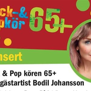 Concert with the Rock and Pop Choir 65+