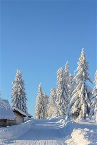 Nice ski trails in northern Garberg.
