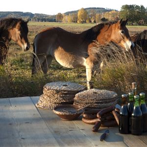 Hårdbröd och flaskor på ett bord utomhus med hästar i bakgrunden.