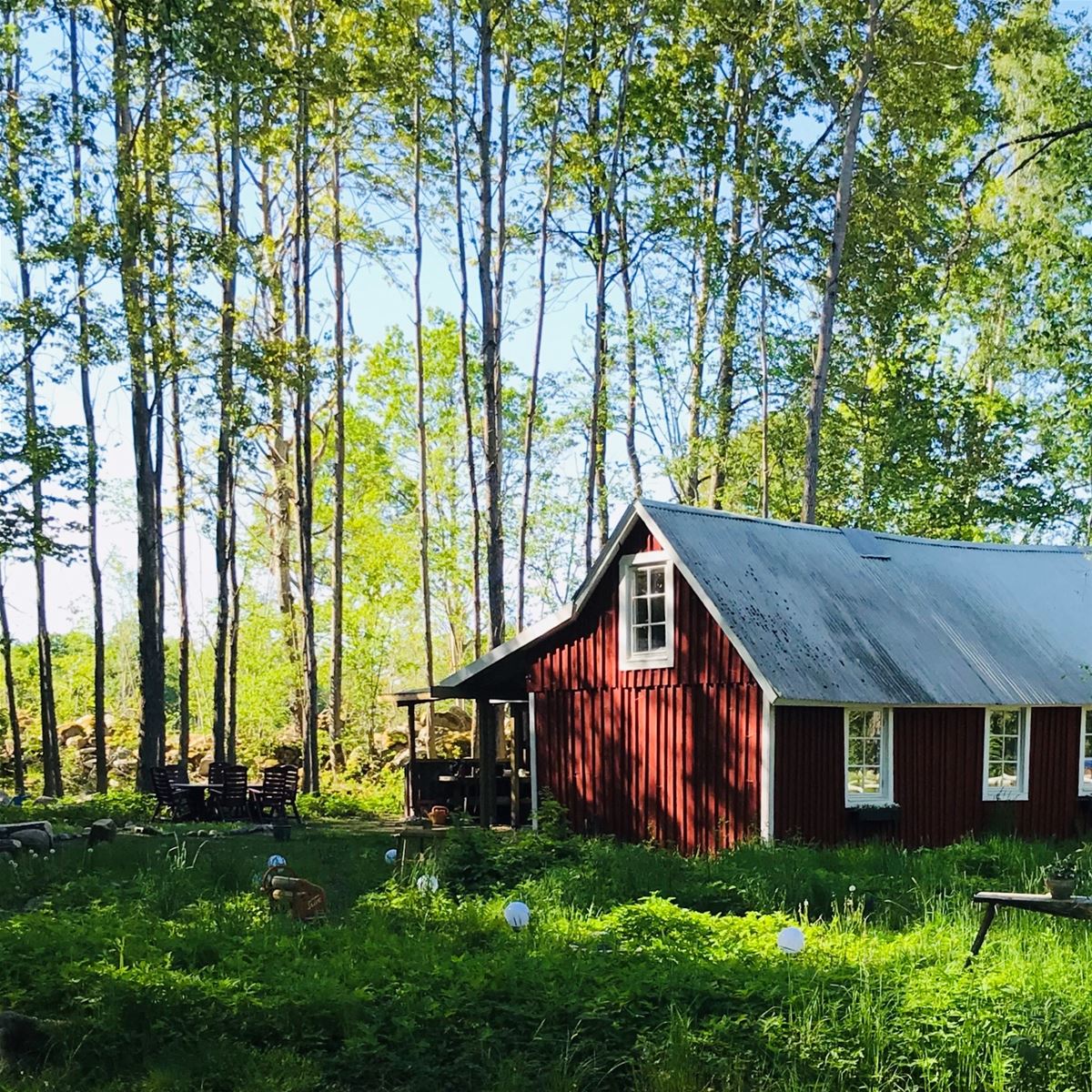 B&B Skrattande Ko image 1