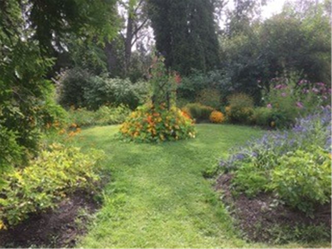 A garden with flowers.