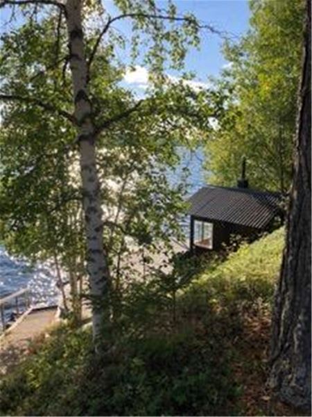 Small Cottage at Luspholmen  
