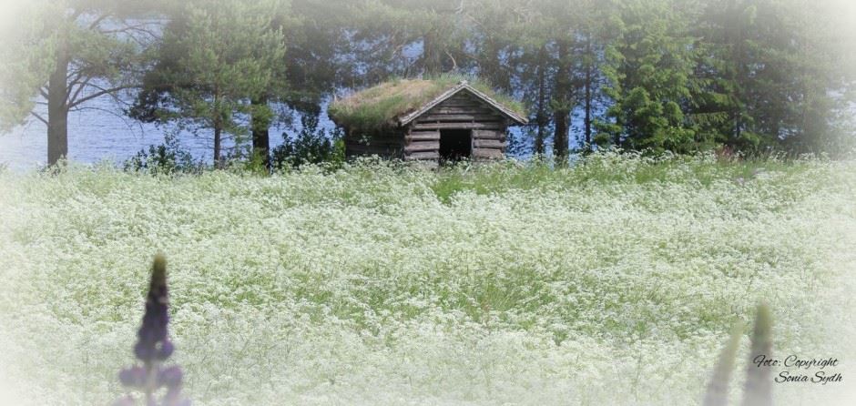 Joris - en historisk plats i Hassela