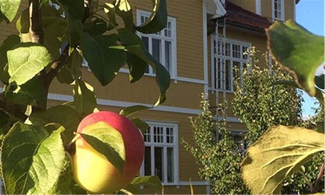 Exterior of the hostel in Älvdalen.