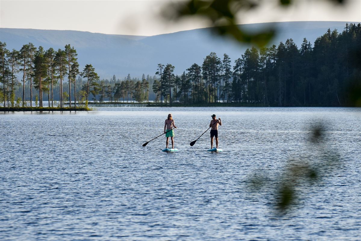 Two people stand on each SUP on the river.