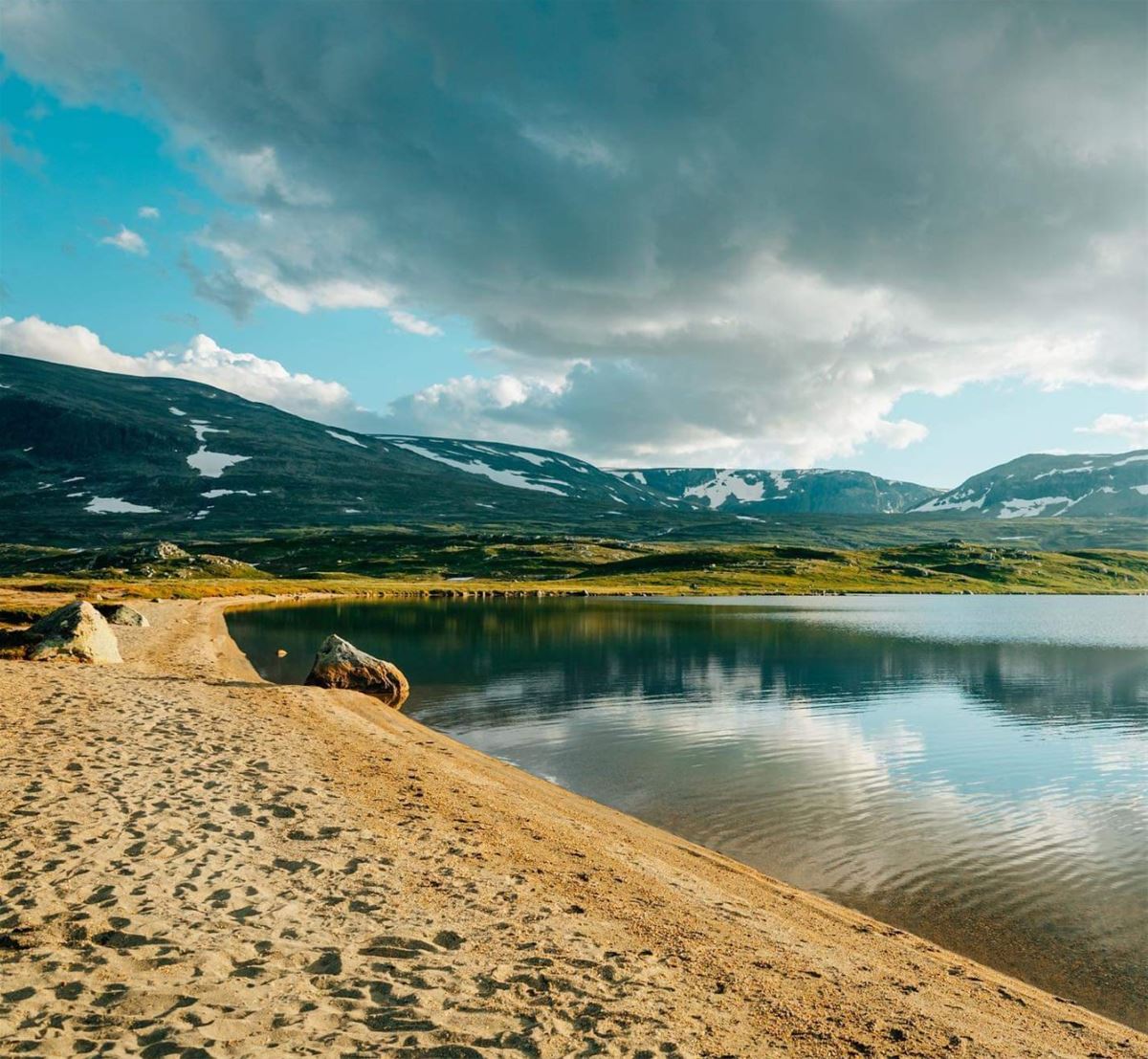 Halletjørne image 1