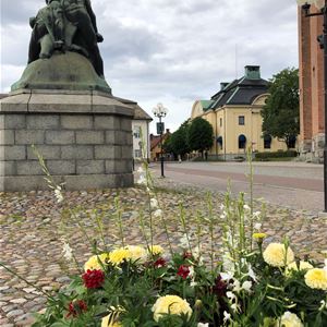 En staty föreställande Engelbrekt, kullerstenar, blommor i förgrunden.