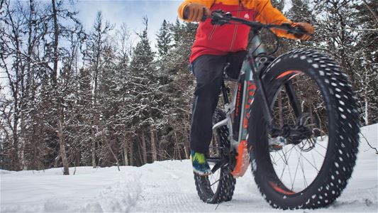 A fatbike up close