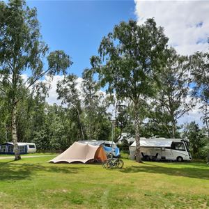 Falsterbo camping & resort 