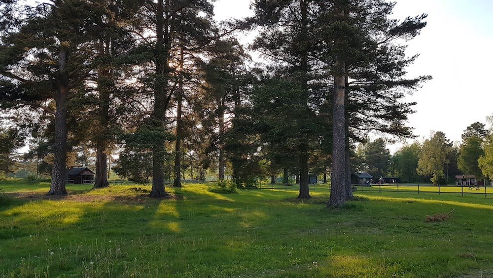 Nås Camping 