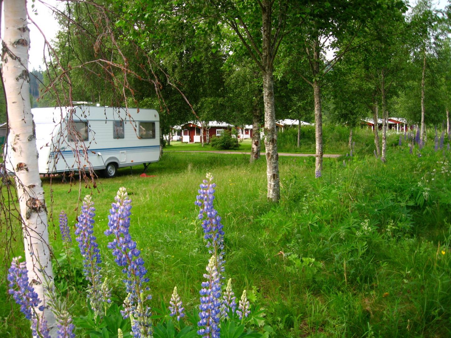 Klarälvens Camping 
