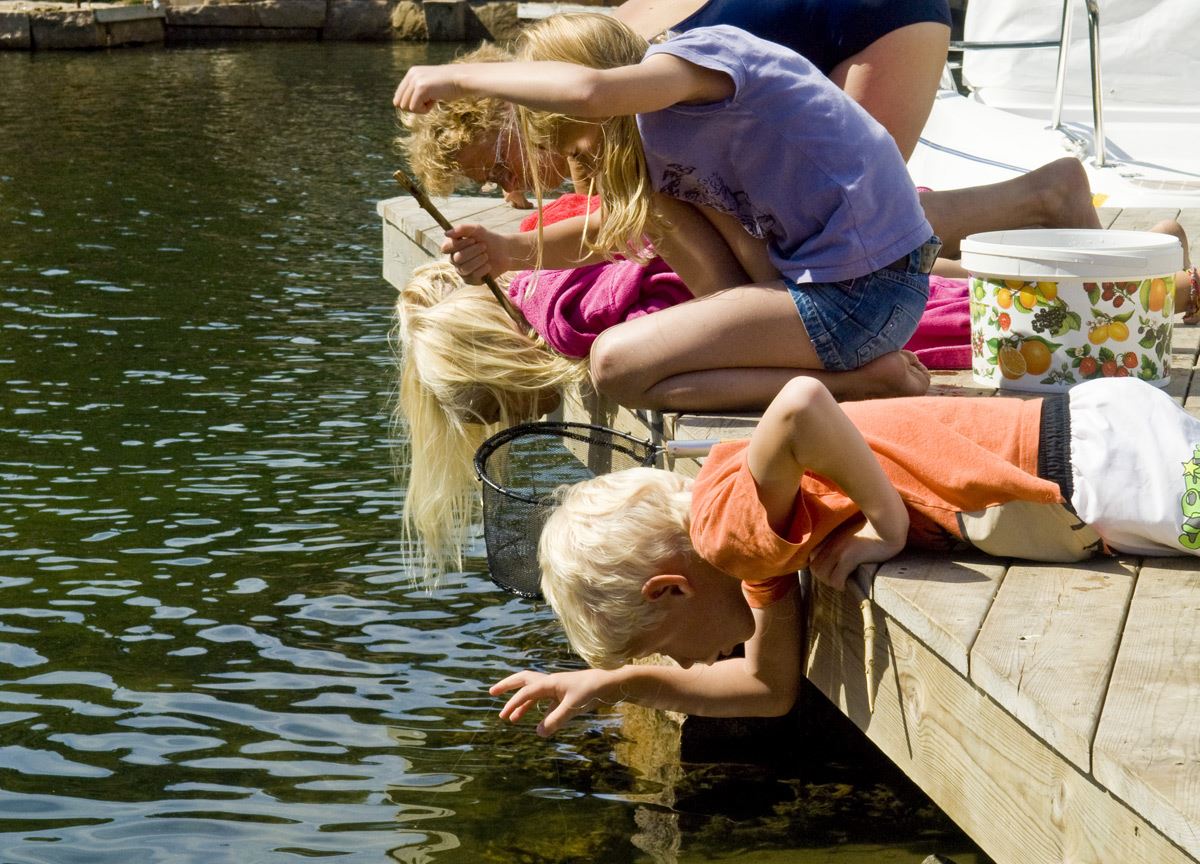 Johannesvik Camping & Stugby 