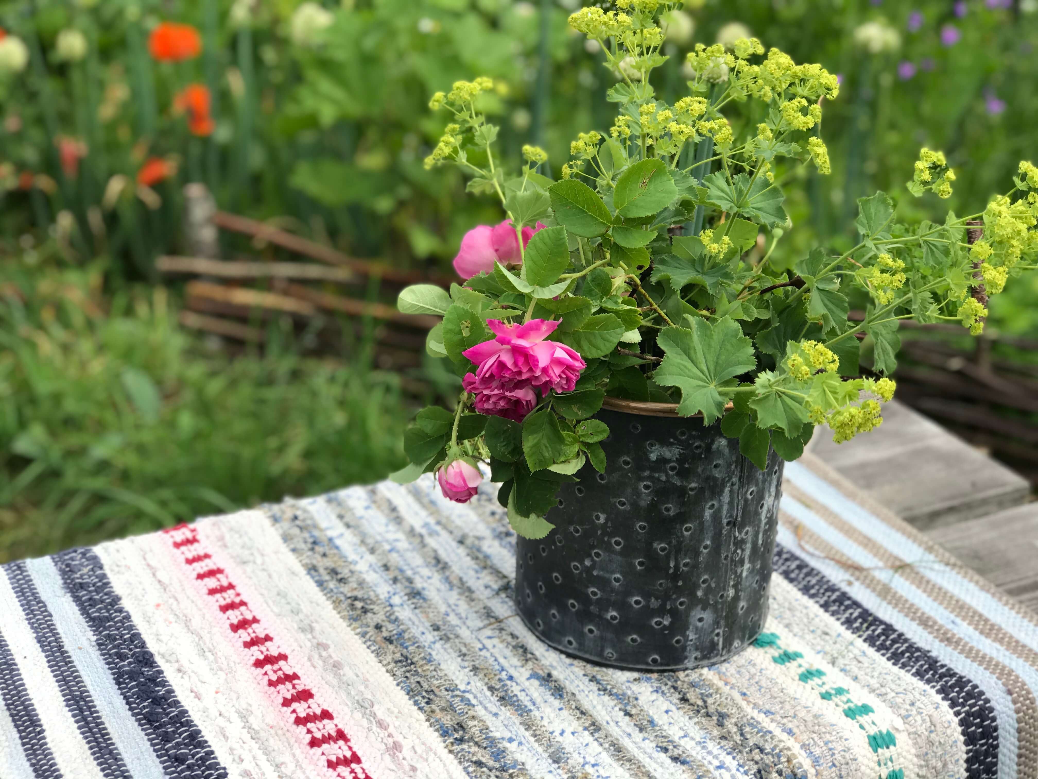 Trädgårdskafé på Hälsingegården Erik-Anders