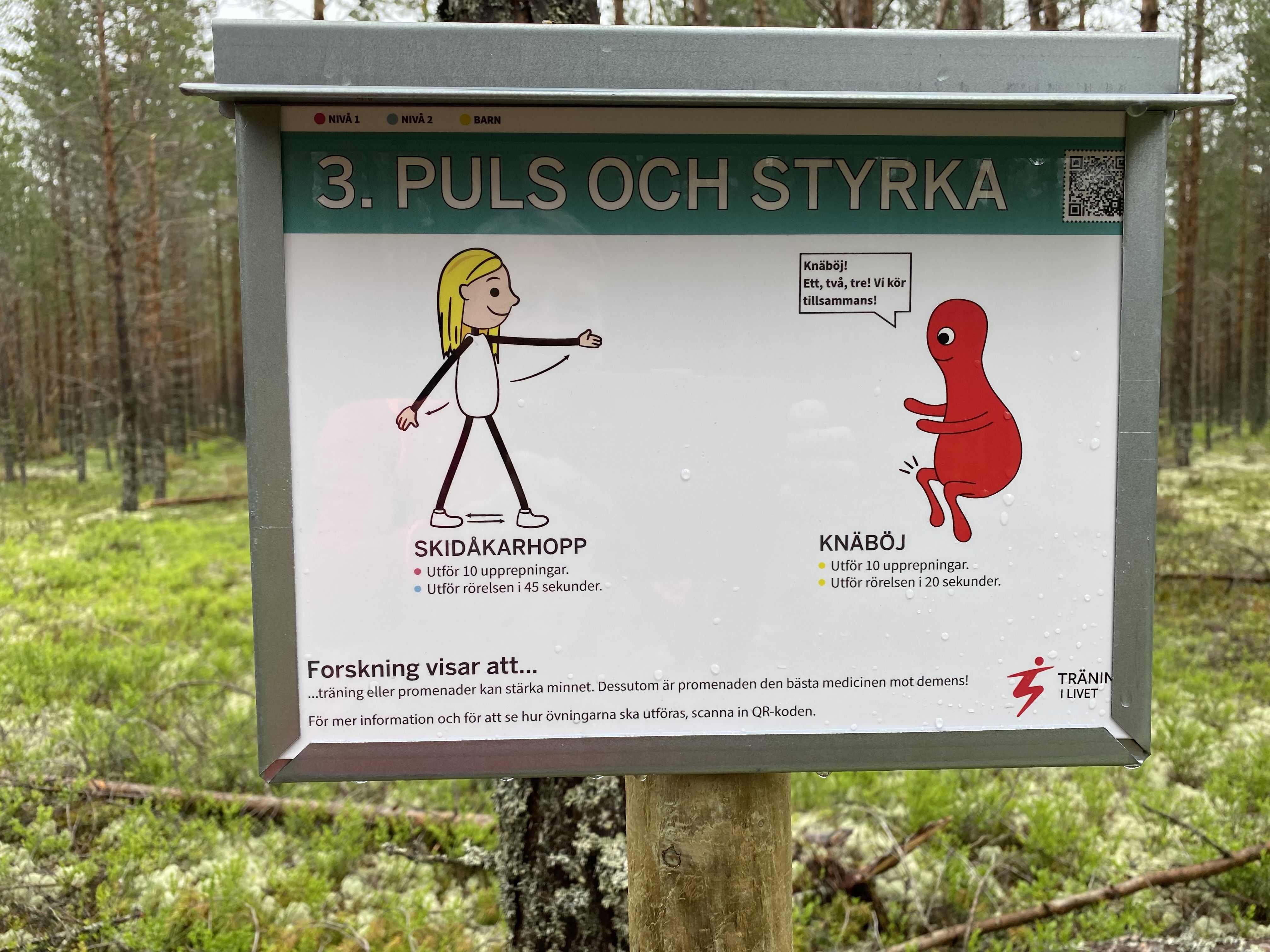 Motionscenter på Bratthé