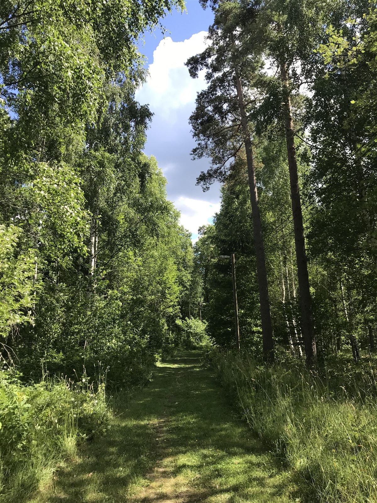 Exercise tracks - Urshult image 1