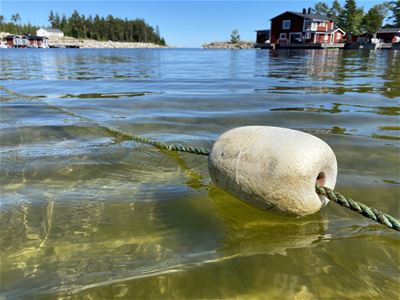 Morängsviken