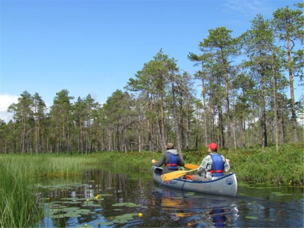 En kanot med två personer paddlar i vattendrag.