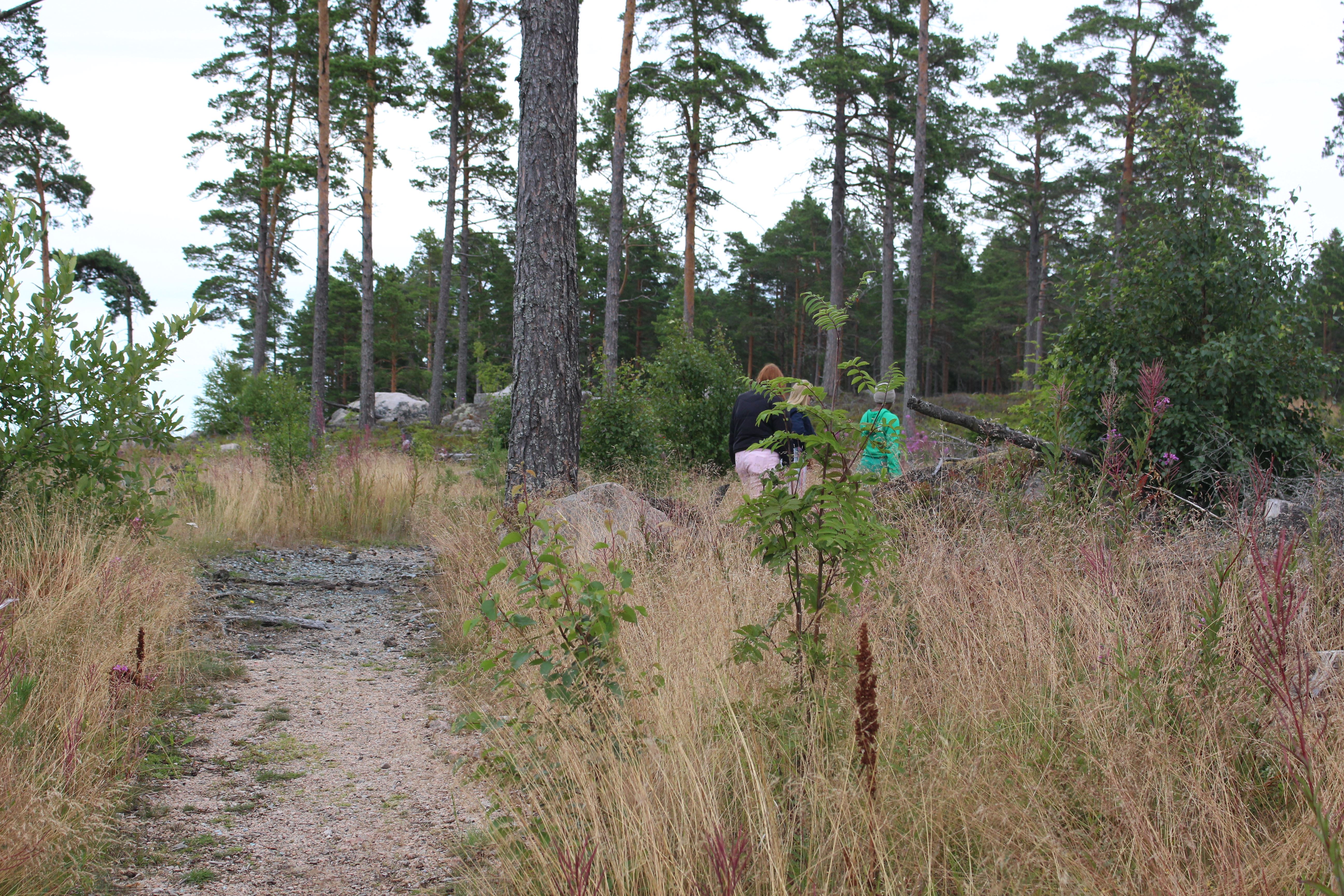 Gnarpsskaten - Naturreservat