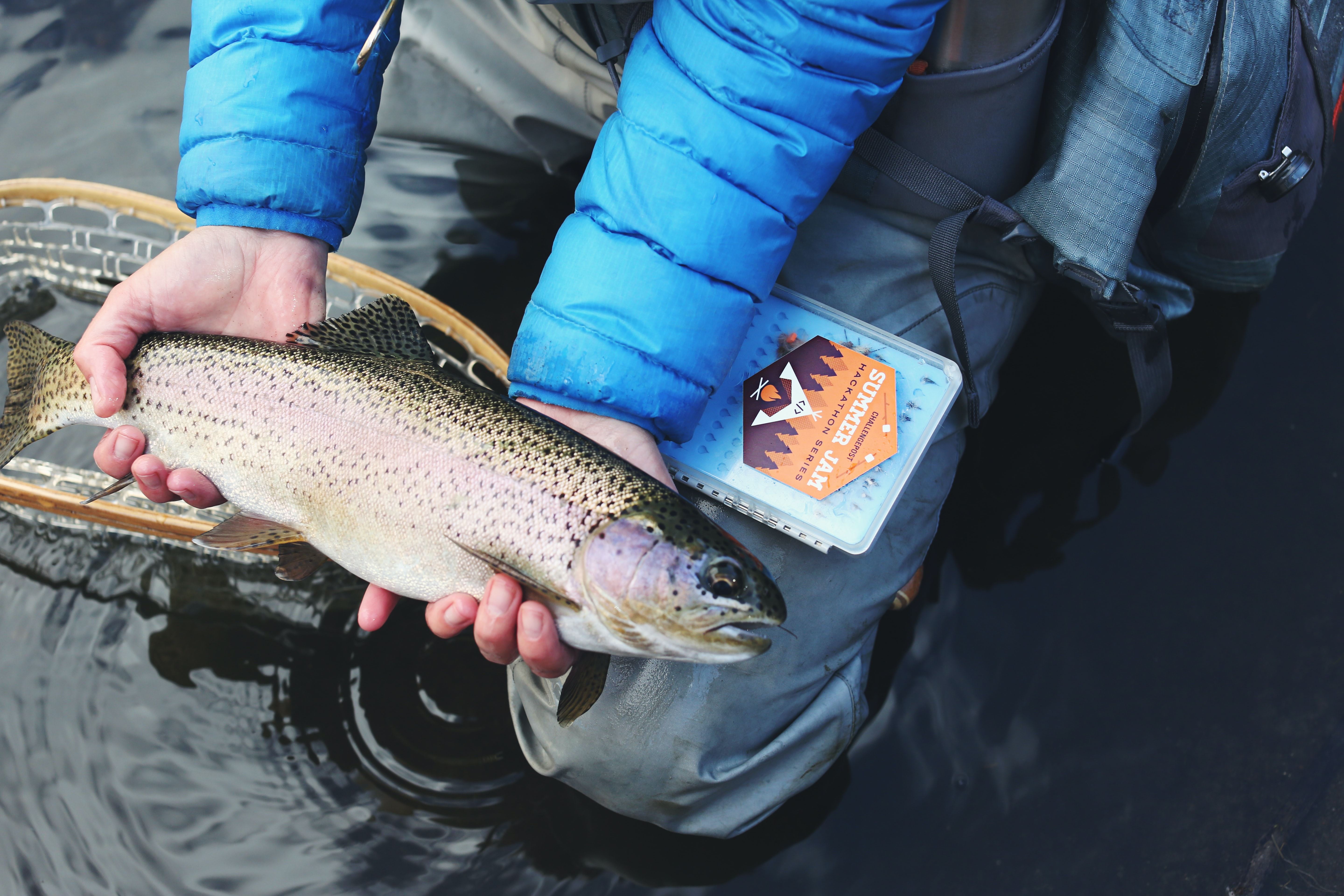 Jättendal's Fishing conservation area