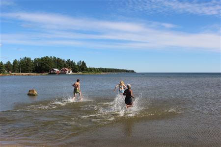 Tre personer springer i vattnet