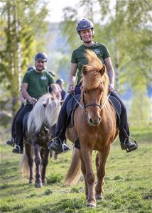 Kvinna och man rider varsin häst
