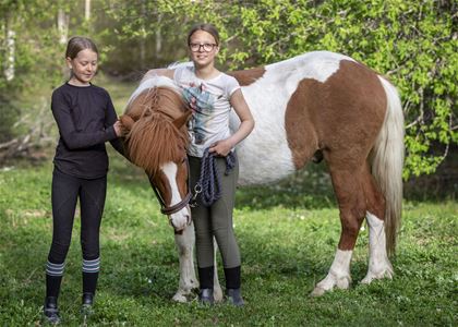 Två tjejer tr hand om en häst