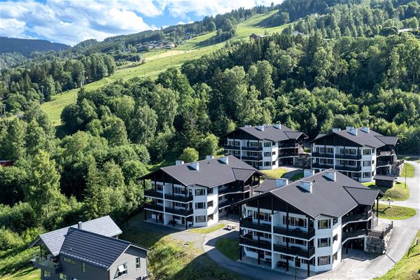 Alpin Apartments Sørlia 4 - 12 beds 