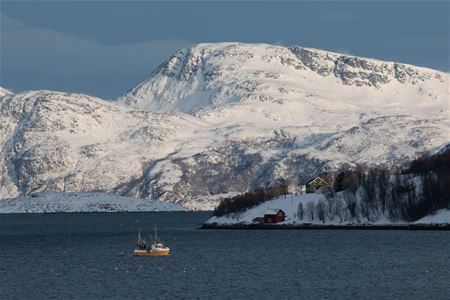 Photo of the boat