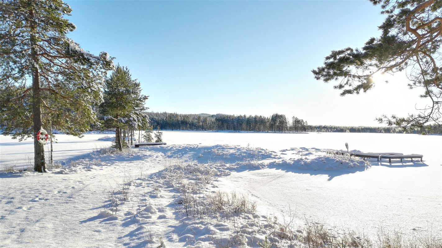 Vinter vid sjö med omgivande skog. 