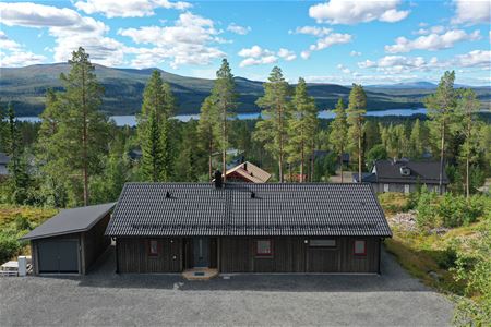 cbis:1922368-1