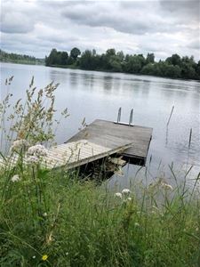 Brygga, gräs och blommor i förgrunden, en ö med träd i bakgrunden.