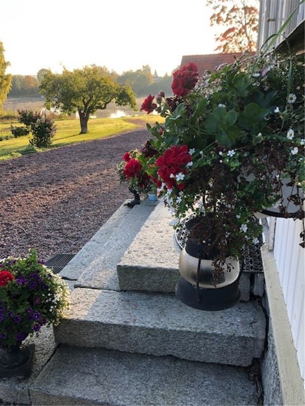 Stentrappa med blommor i krukor, trädgården och älven i bakgrunden.