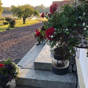 Stentrappa med blommor i krukor, trädgården och älven i bakgrunden.